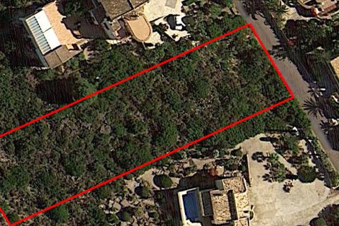 Terra a Denia, Alicante, Denia - € 280.000 | Ref: CB-280-2 - foto 8